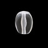 Approximately 8×6mm / 12 months