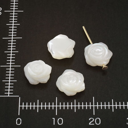Shell parts rose white