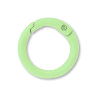 Carabiner round wire painted green