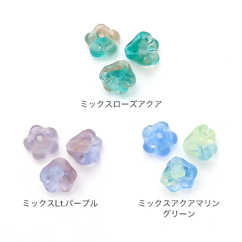 Czech Bellflower 3 Mixed Rose Aqua