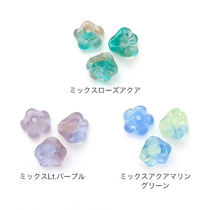 Czech Bellflower 3 Mixed Rose Aqua