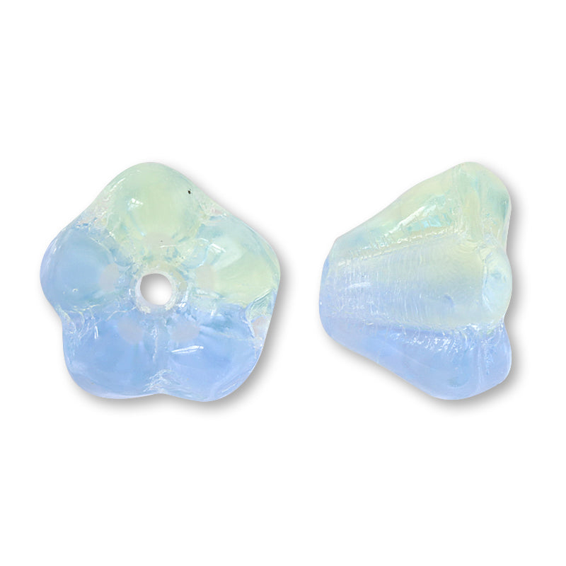 Czech Bellflower 3 Mixed Aquamarine Green