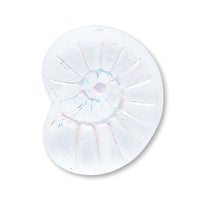 Czech Spiral Shell Crystal Mat/AB Line