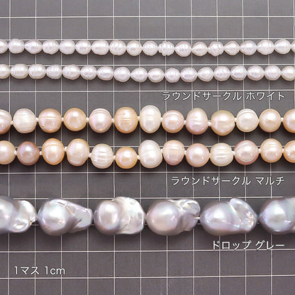 Freshwater Pearl Round Circle White