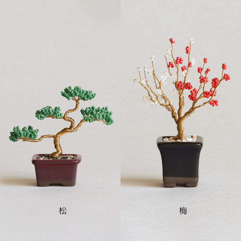 ネジッテBONSAIキット(HCA30-1〜6)