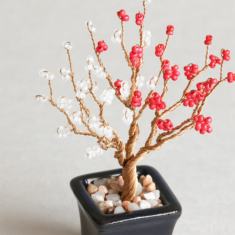 ネジッテBONSAIキット(HCA30-1〜6) – 貴和製作所オンラインストア