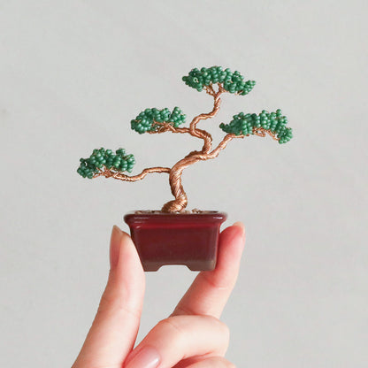 ネジッテBONSAIキット(HCA30-1〜6)