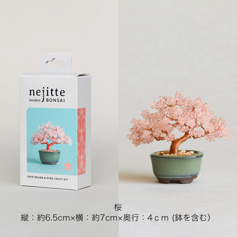 ネジッテBONSAIキット(HCA30-1〜6)