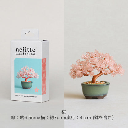 ネジッテBONSAIキット(HCA30-1〜6)