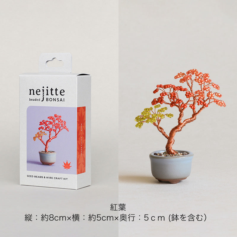 ネジッテBONSAIキット(HCA30-1〜6)