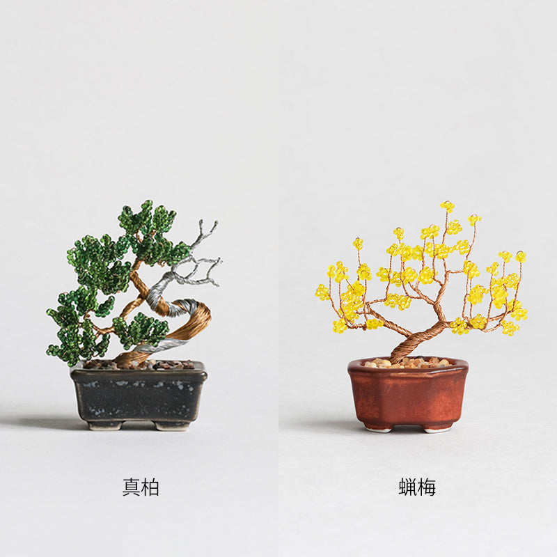 ネジッテBONSAIキット(HCA30-7～12)