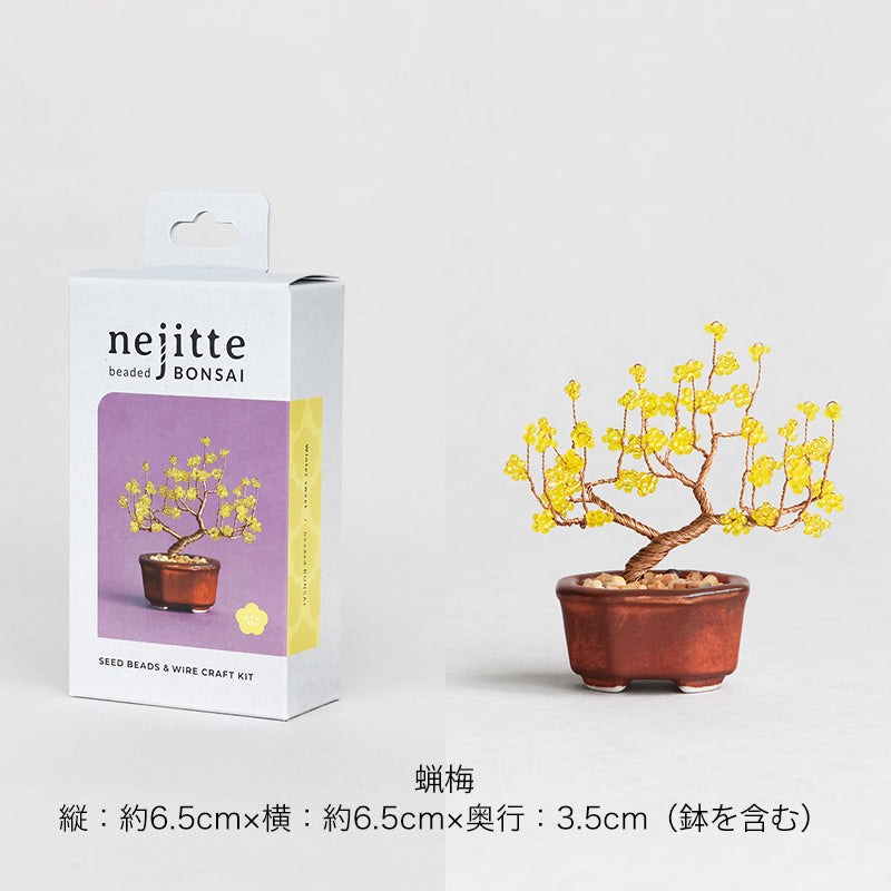 ネジッテBONSAIキット(HCA30-7～12)