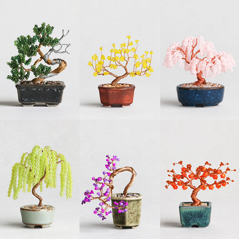 ネジッテBONSAIキット